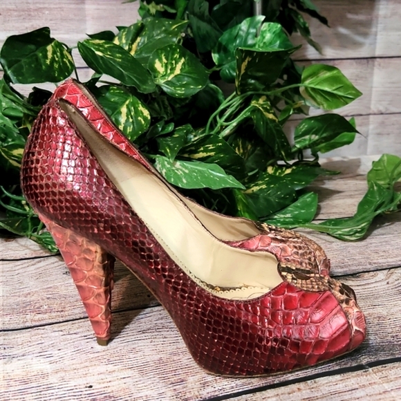 Oscar Del a Renta Snake Skin Heels - Picture 4 of 12